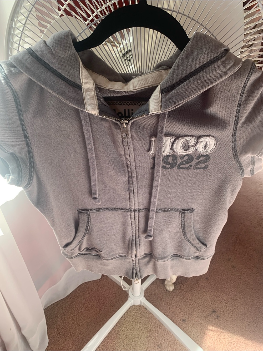 Hollister Short-Sleeve Zip Hoodie in Light Gray